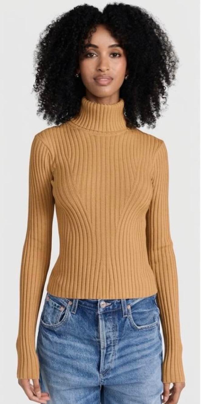 Staud Jace Turtleneck Top in Camel M